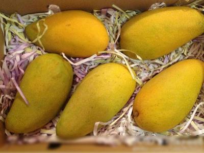 銅川攀西農(nóng)產(chǎn)品有哪些服務(wù)為先