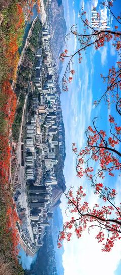 【新中風(fēng)采】校慶暑假特輯:@新中學(xué)子,歡迎你來高老師的家鄉(xiāng)&ldquo;攀枝花&rdquo;