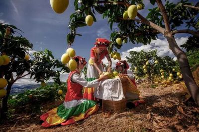 帶著陽光、帶著果香,帶著&ldquo;康養(yǎng)+&rdquo;,北京!東區(qū)來了&middot;&middot;&middot;&middot;&middot;&middot;_財經_網