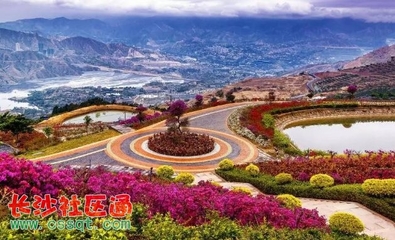 四川發(fā)布今年第一期觀花指數(shù) 德陽這個地方觀花指數(shù)已到達(dá)最佳時期!