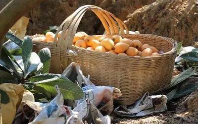 攀枝花新增一個(gè)國(guó)家地理標(biāo)志保護(hù)產(chǎn)品,你絕對(duì)吃過(guò)!