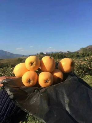 攀枝花新增一個(gè)國(guó)家地理標(biāo)志保護(hù)產(chǎn)品，你絕對(duì)吃過(guò)！