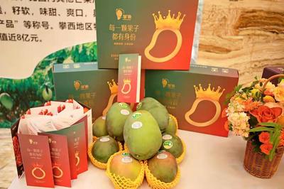 攀枝花再加碼，著力推進(jìn)“九個(gè)一”行動(dòng)，助力“攀果”產(chǎn)業(yè)升級(jí)